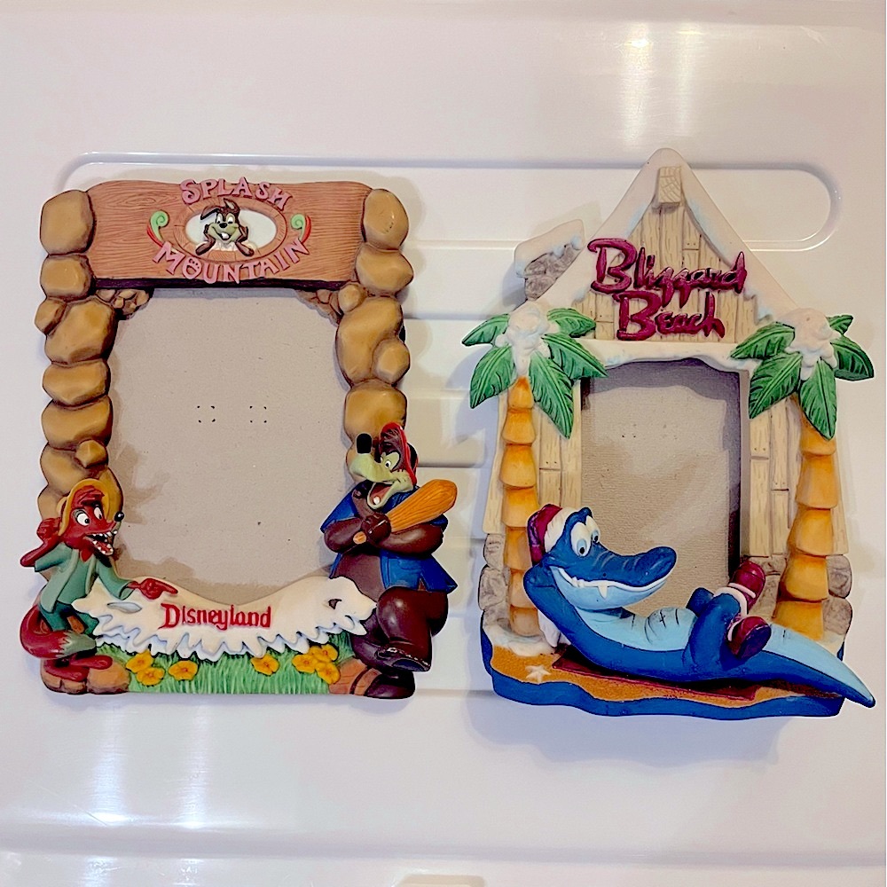 Pair Photo Frames Disney Splash Mountain and Blizzard Beach